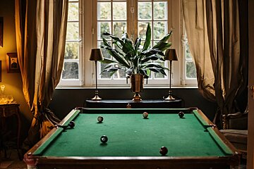 A pool table in front of a window with a plant in the background