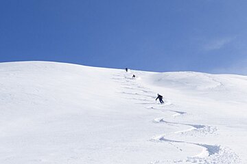 three skiers making fresh tracks