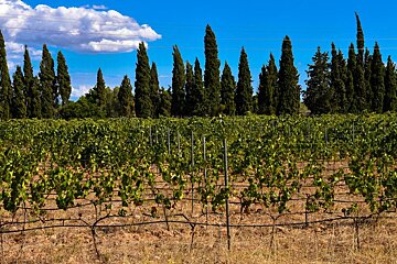 Son Julia Country House Boutique Hotel Review, Llucmajor
