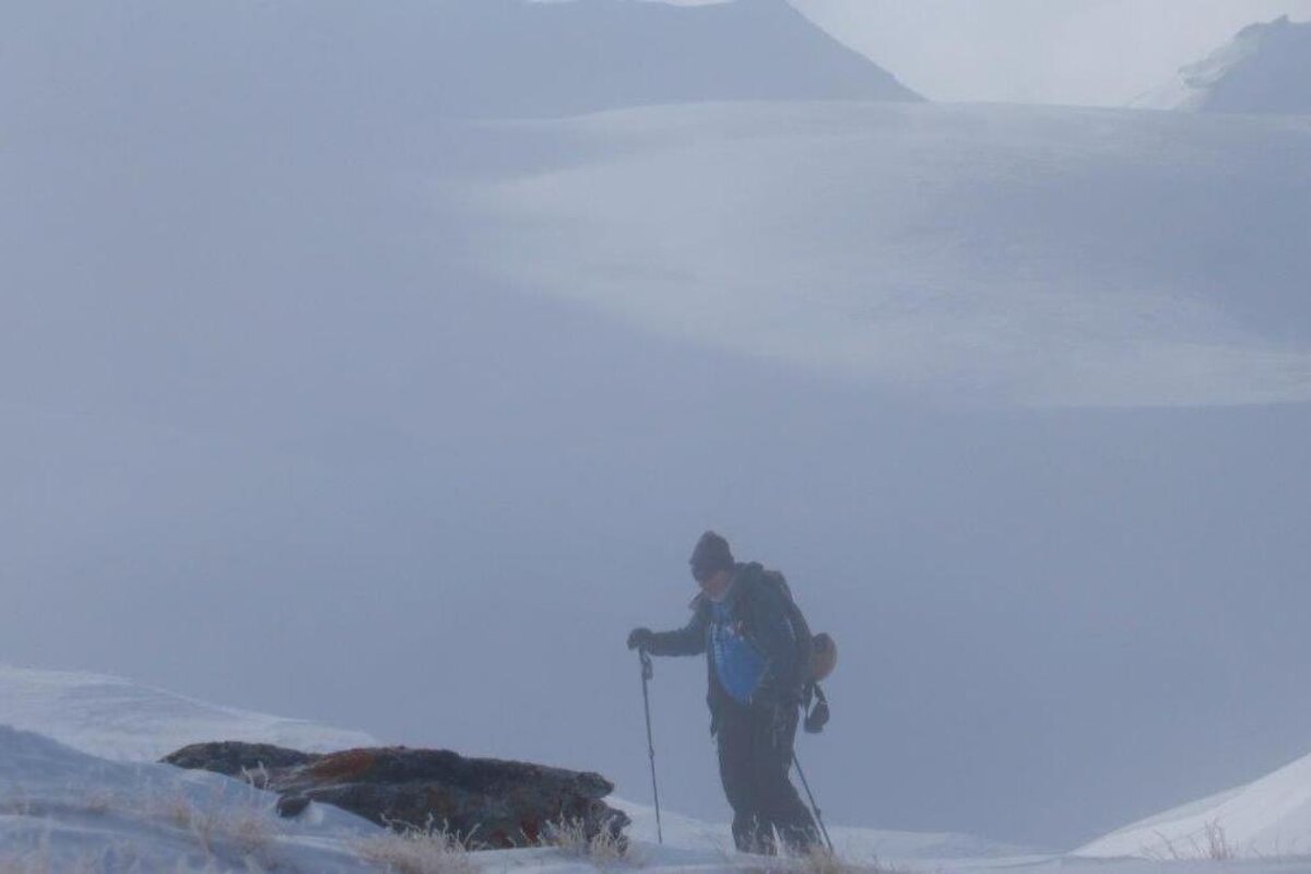 a skier in the fog