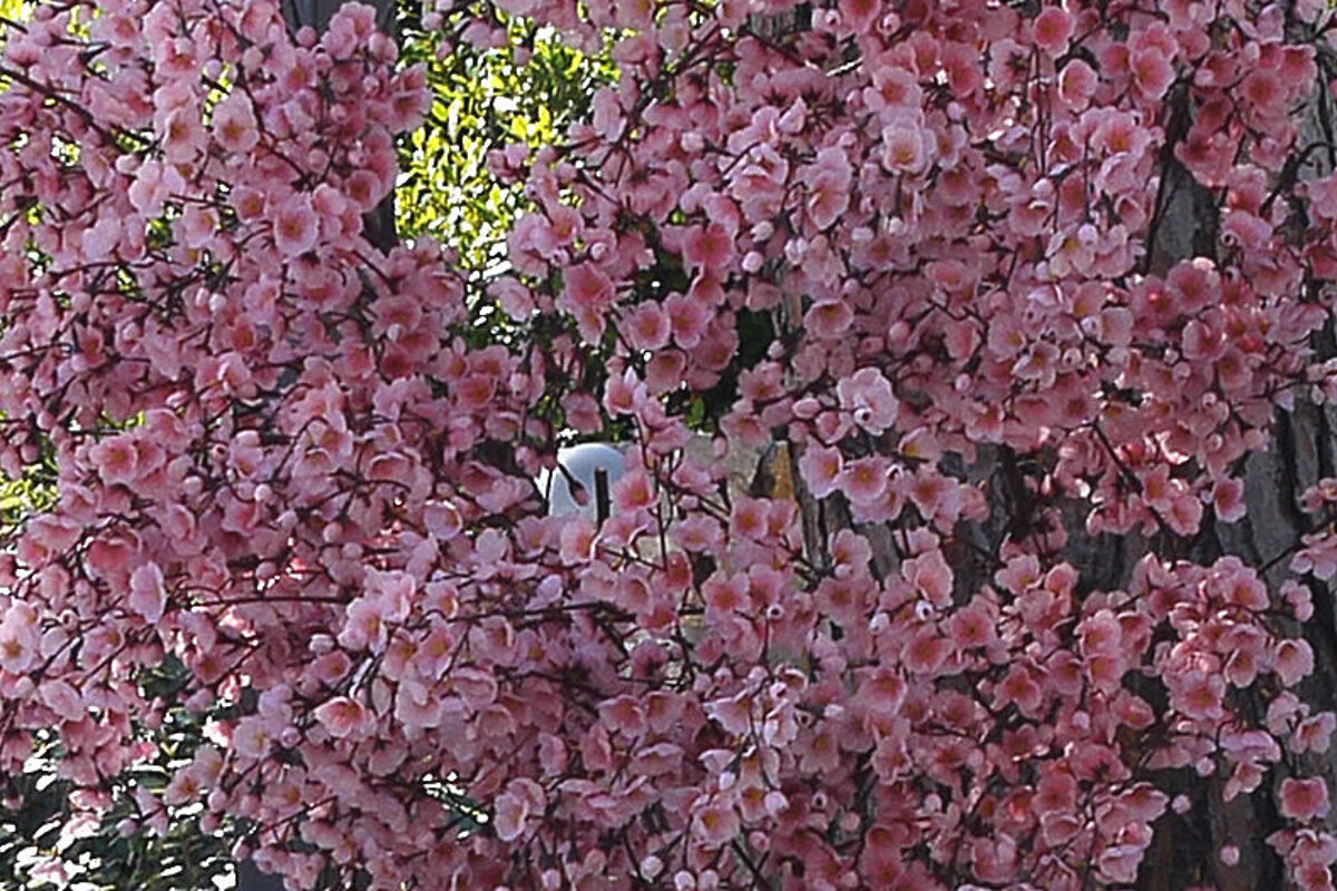 Exflora Park