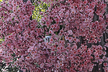 Exflora Park