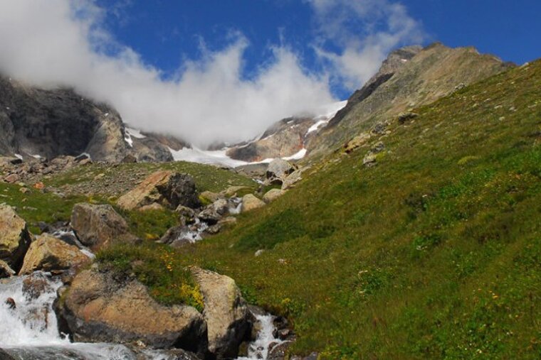 A stream runs through a grassy area with a mountain in the background