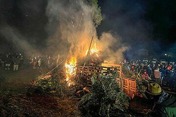 Festes de Sant Antoni