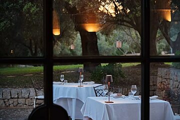 Evening view through a window of a restaurant patio. Set tables with lamps glow softly amidst trees with hanging lights.