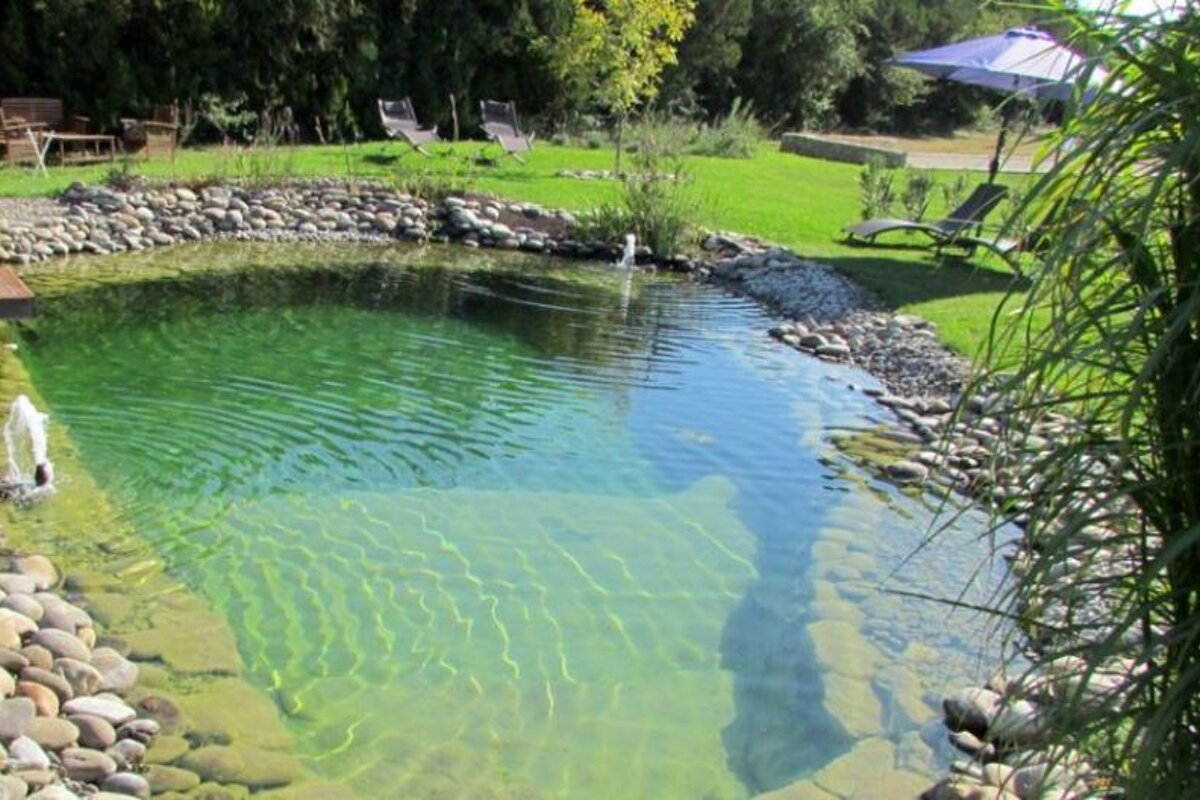 Couleur Lavande B&B, Le Thor swimming pool