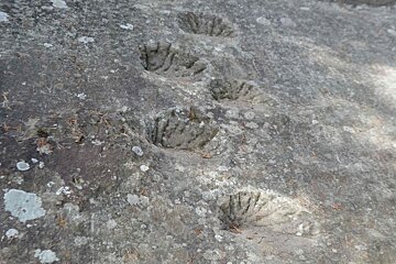 marks in the sandstone
