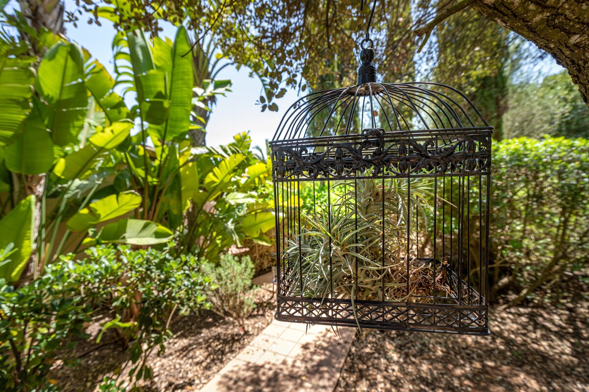 Finca Son Jorbo Hotel, Porreres