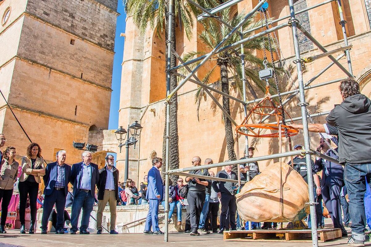 November 2019 in Mallorca - Top 8 Events