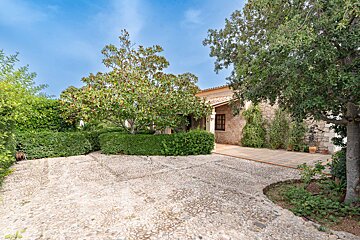 A stone driveway leading to a house with trees in front of it