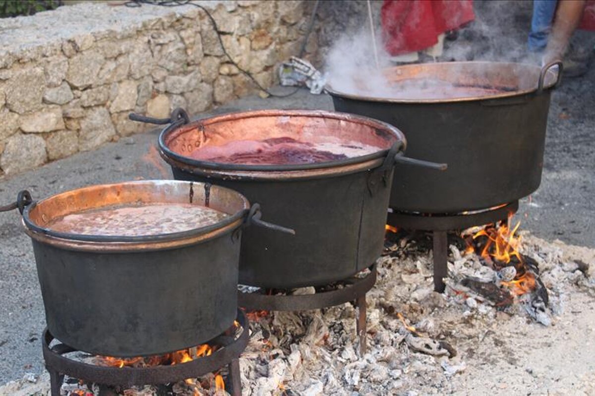 Fete du Vin Cuit, Le Plan de la Tour