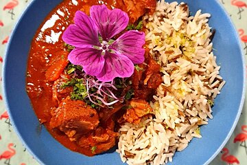 A bowl of food with rice and a purple flower on top