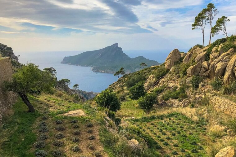 Mallorca's west is best in spring 2019
