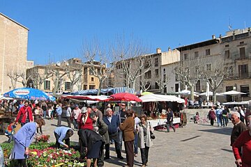 Placa Major, Pollensa (Pollenca)