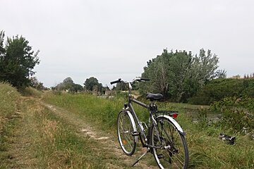 a bank of a river and a bike