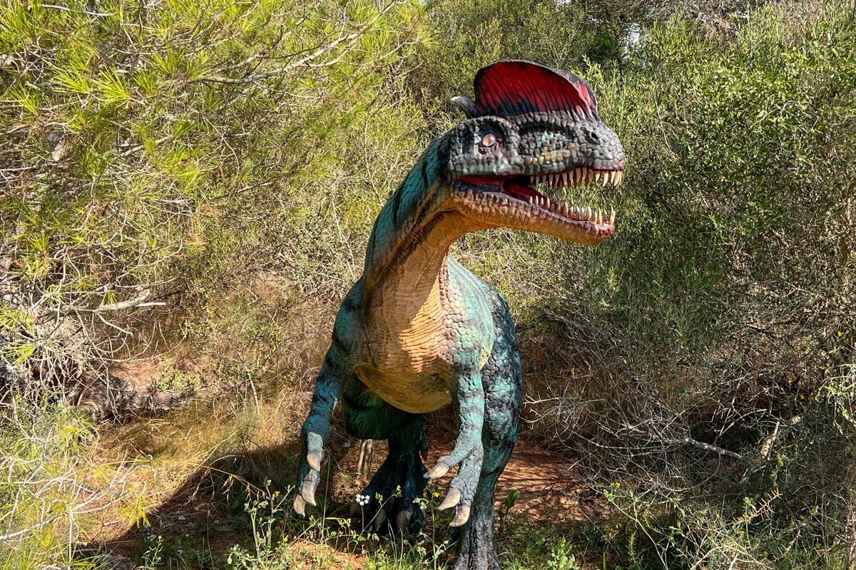 Dinosaur Land , Porto Cristo