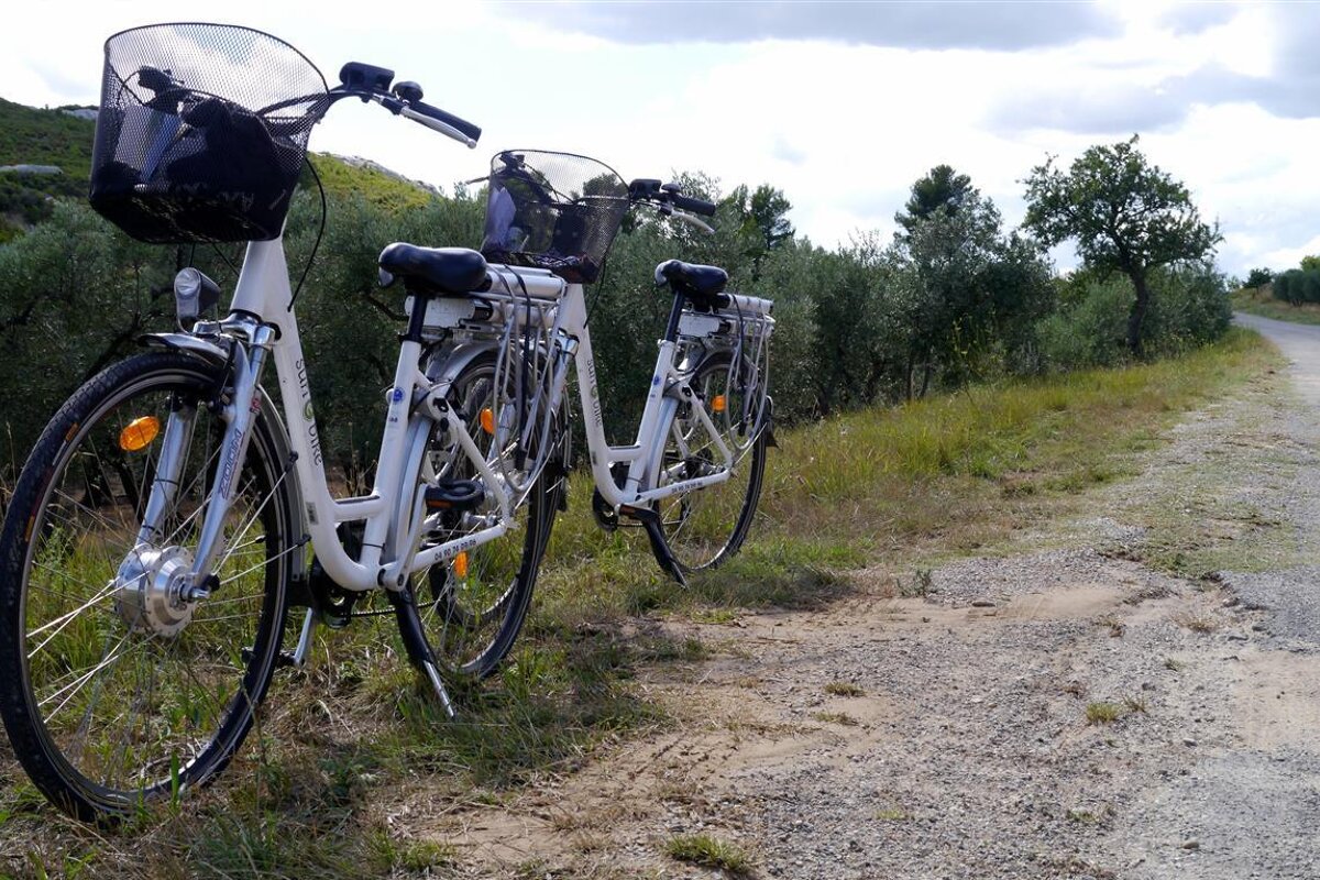 e bike tours in provence