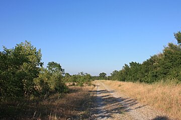 a long path stretching out ahead