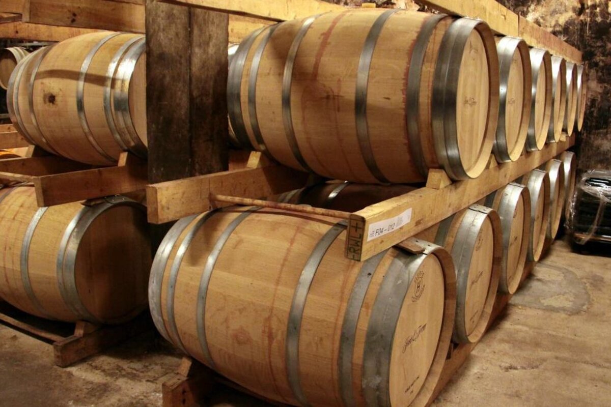 Jose Ferrer Vineyard, Binissalem interior