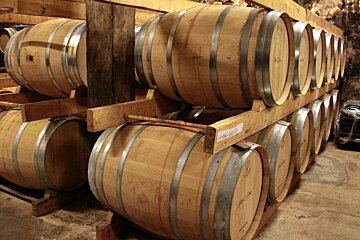 Jose Ferrer Vineyard, Binissalem interior