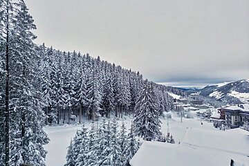 A snowy forest with a ski resort in the background