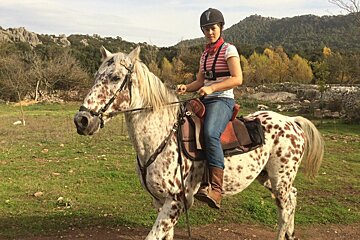 Horse Riding Review