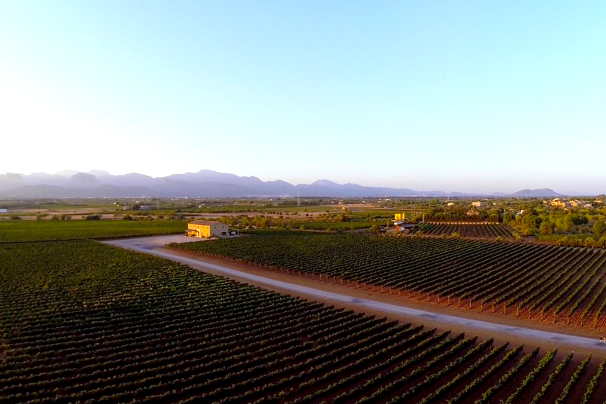 Road biking in Palma de Mallorca