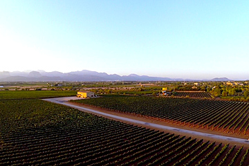 Road biking in Palma de Mallorca