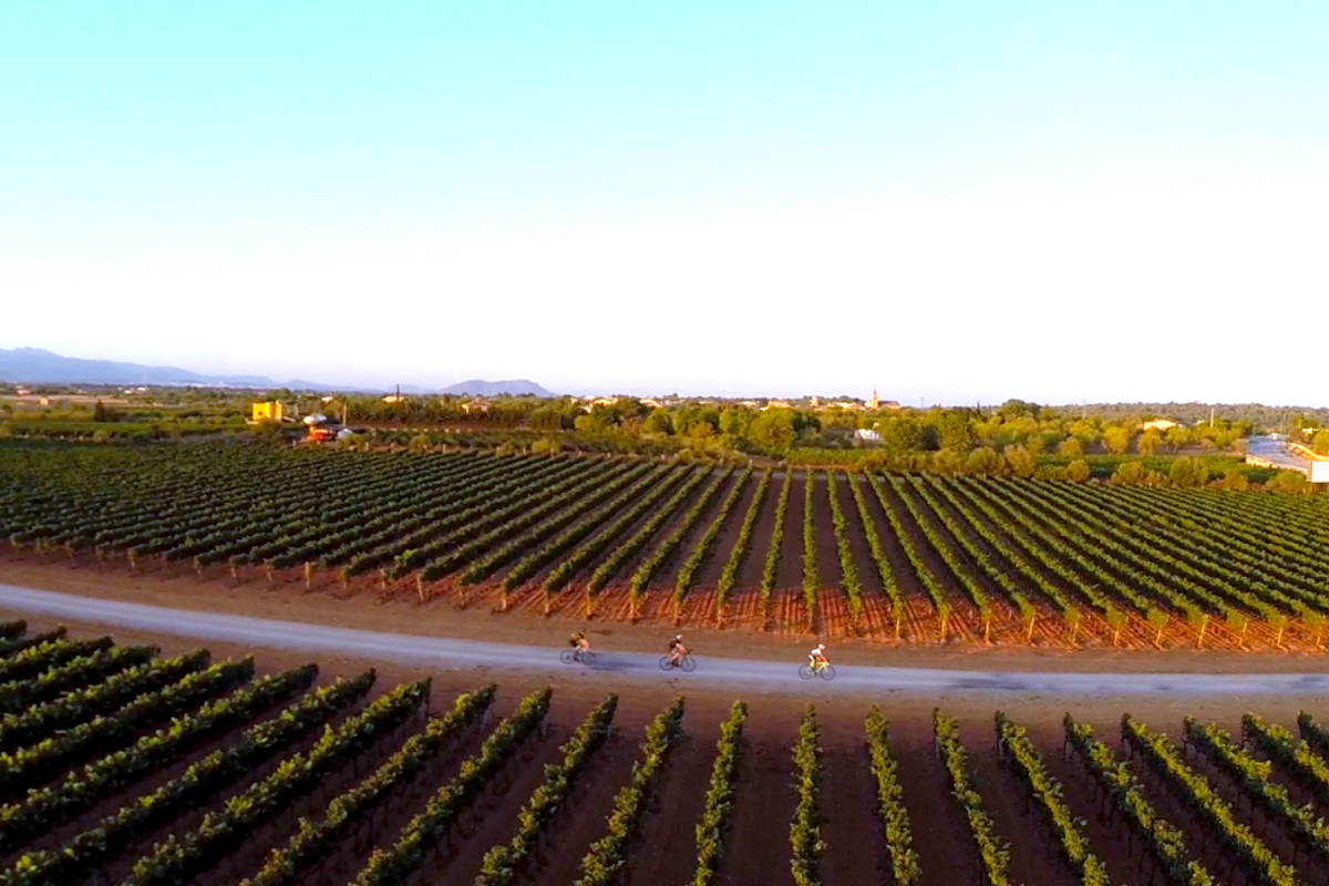 Road biking in Palma de Mallorca