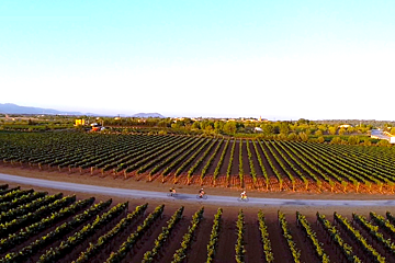 Road biking in Palma de Mallorca