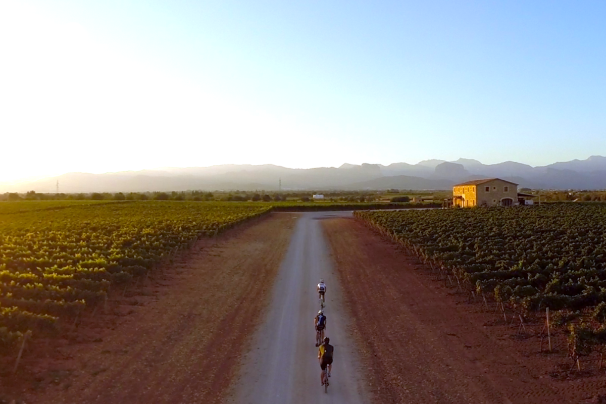 Road biking in Palma de Mallorca