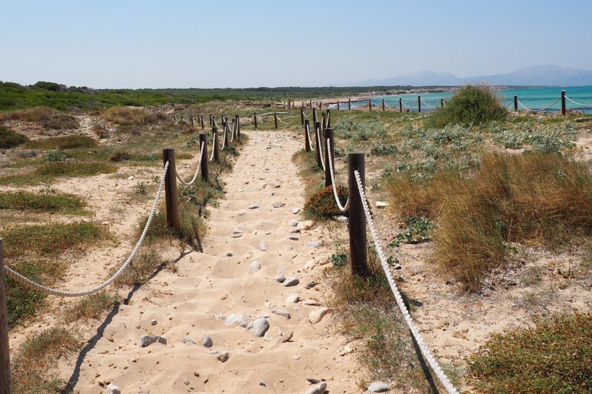 a roped off walking path on the sand towards the beach