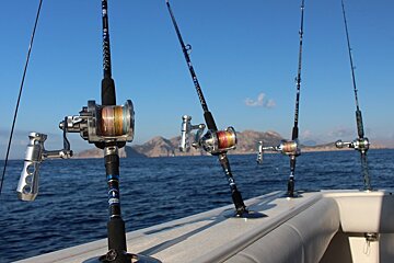 Coastal Fishing Trip, Port de Pollenca (Puerto Pollensa)