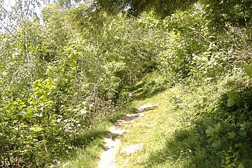 Chamonix hiking trail from Gaillands to Parc Merlet