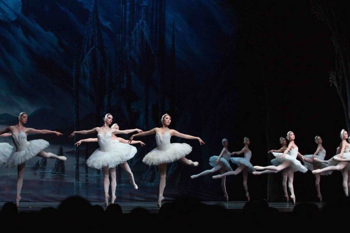 Swan Lake (Lac des Cygnes), City of Bordeaux