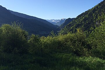 A valley with trees and mountains in the background