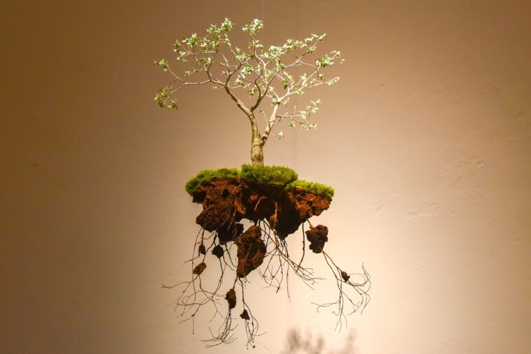 Palma Nit de l'Art 2019 Review
