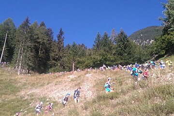 Running the OCC, Ultra Trail du Mont Blanc UTMB 2016