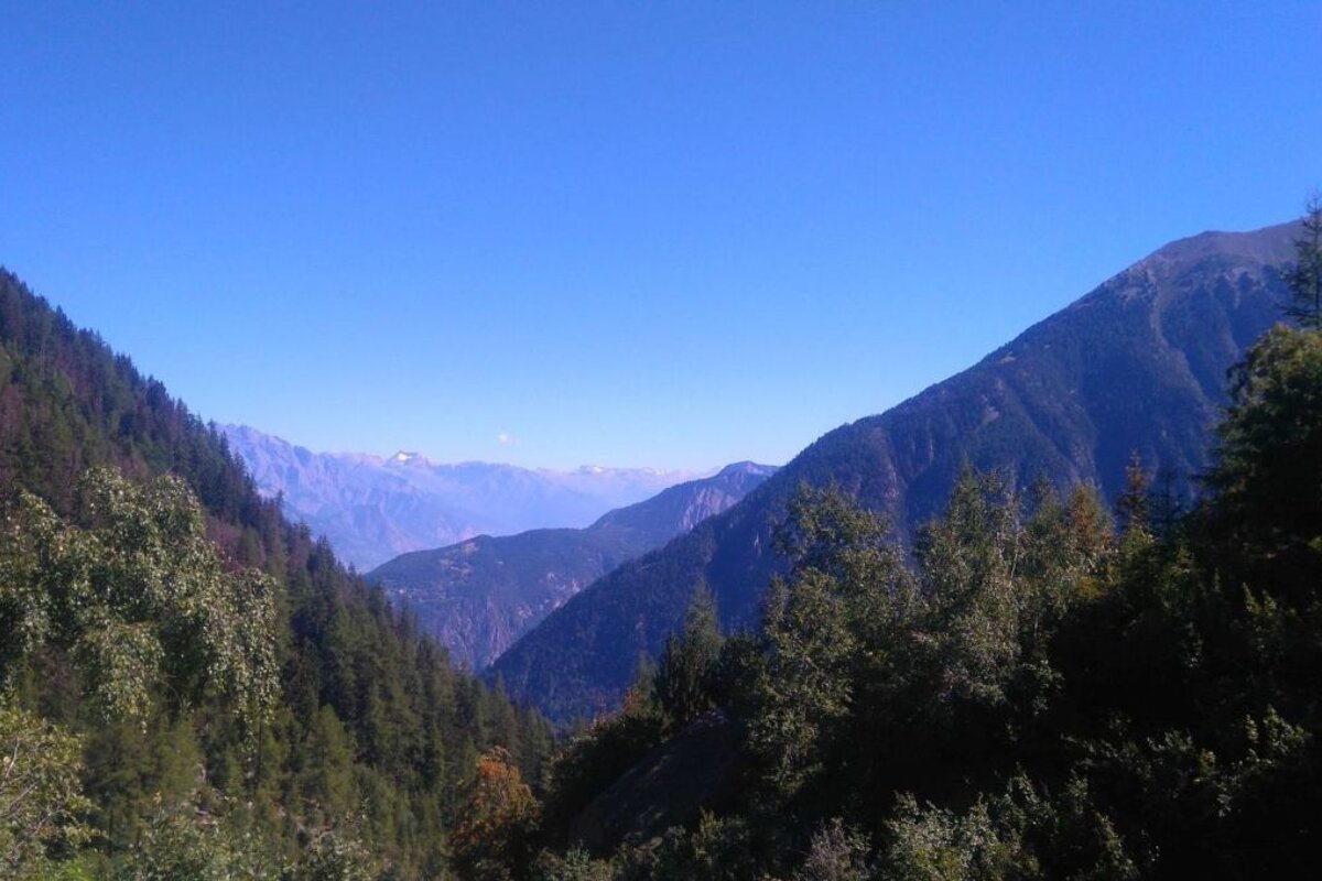 Running the OCC, Ultra Trail du Mont Blanc UTMB 2016