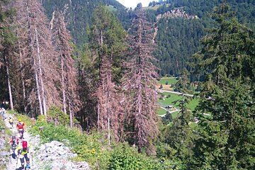UTMB 2016