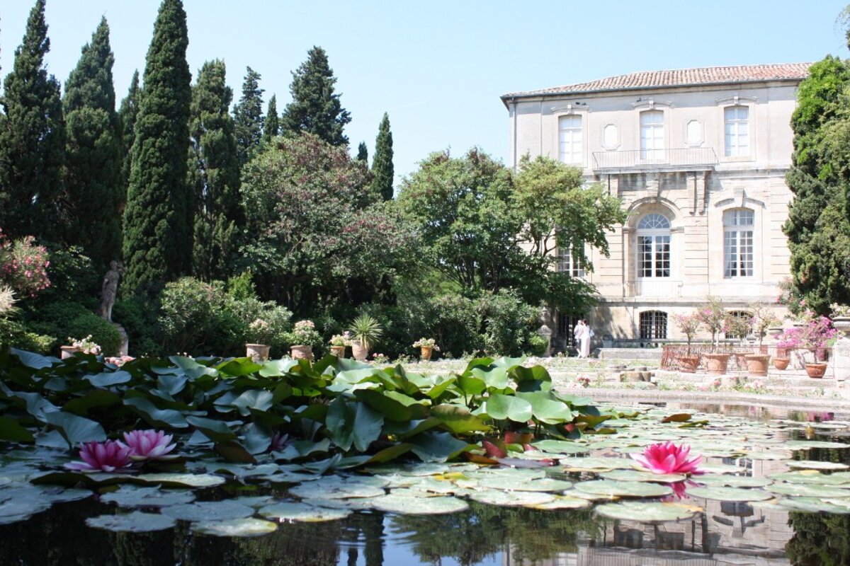 a lily pond at a grand house in provence