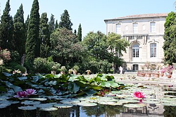a lily pond at a grand house in provence