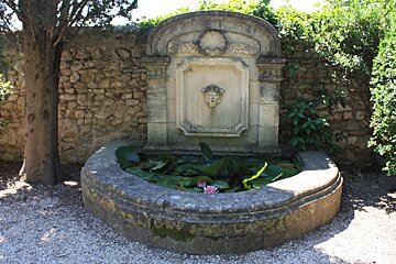 a water fountain with lilies growing in it