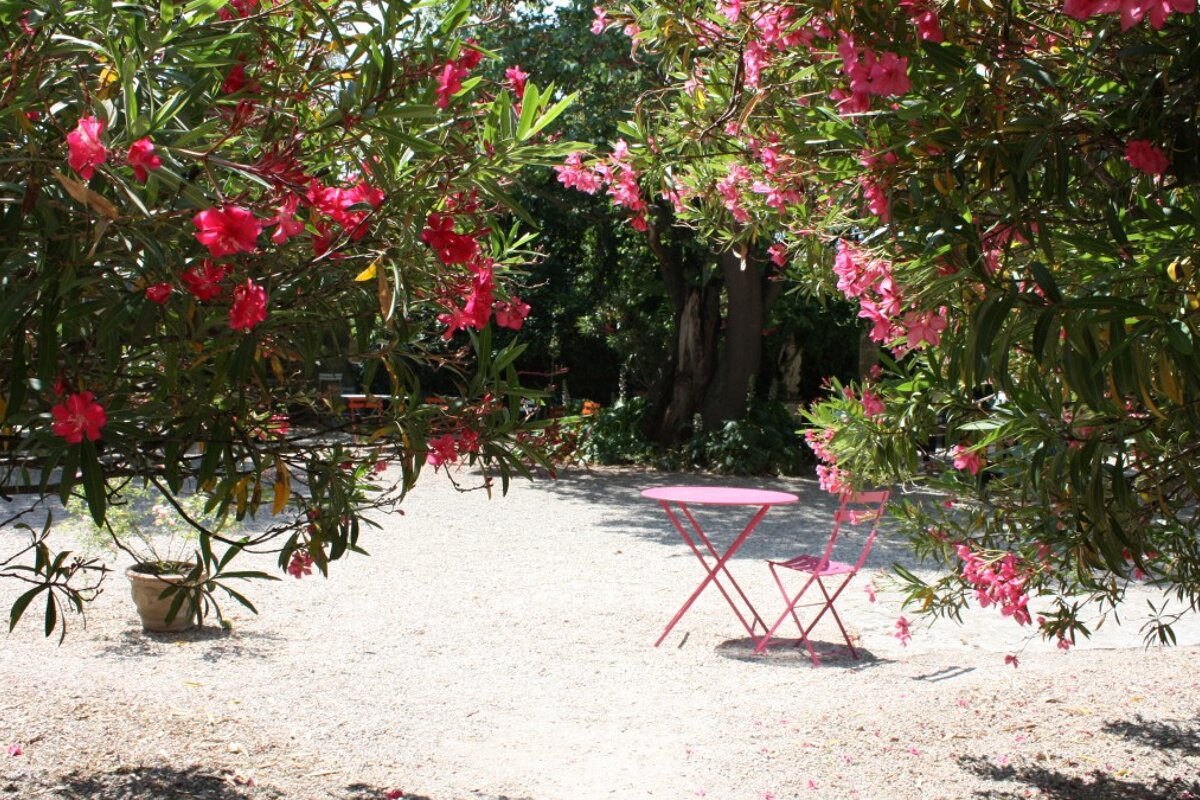 flowers in a walled garden