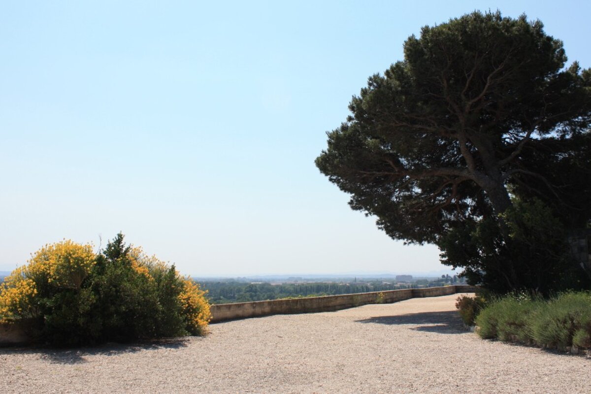 provence hills int he distance