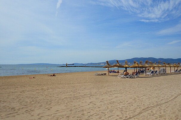 photo of a beach and sun bathers