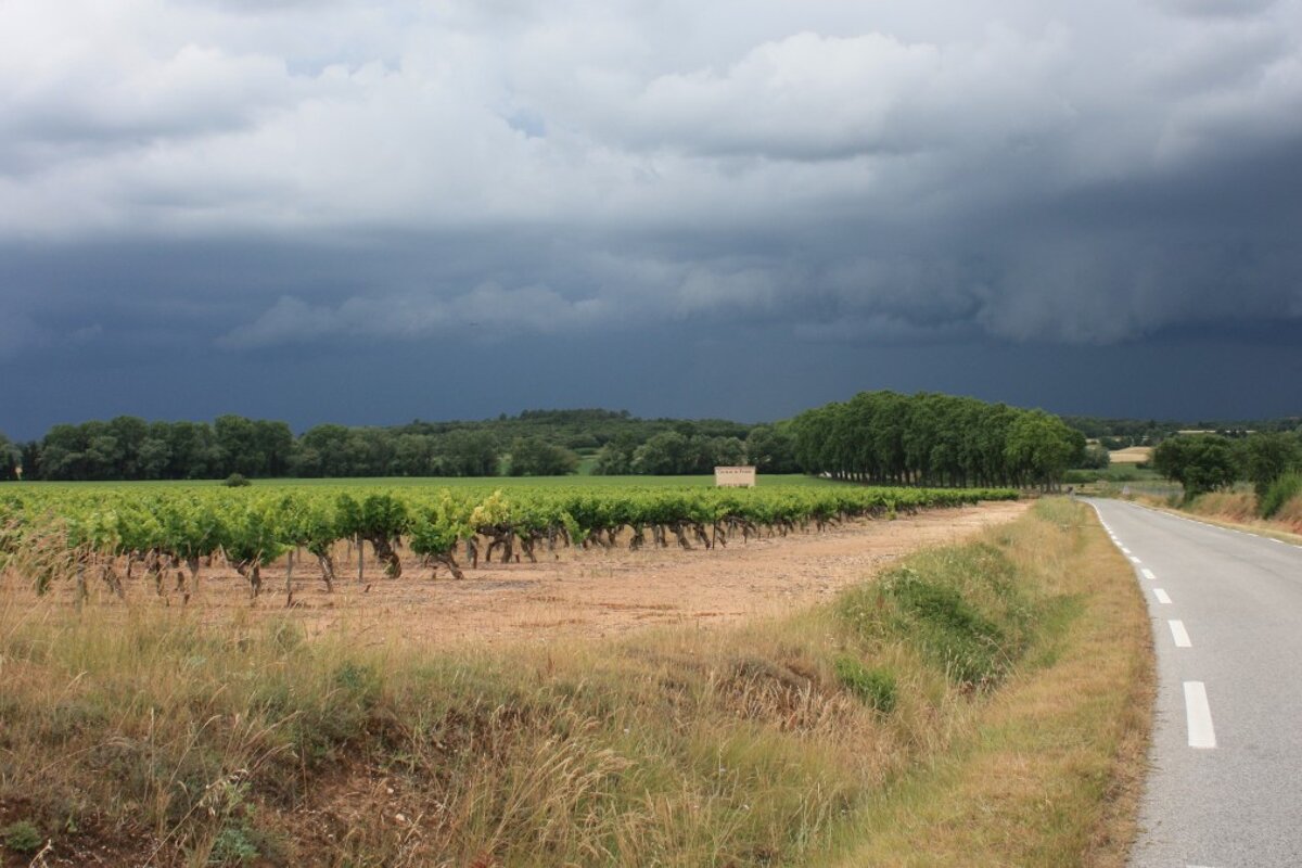 open fields with vineyards and moody looking clouds above