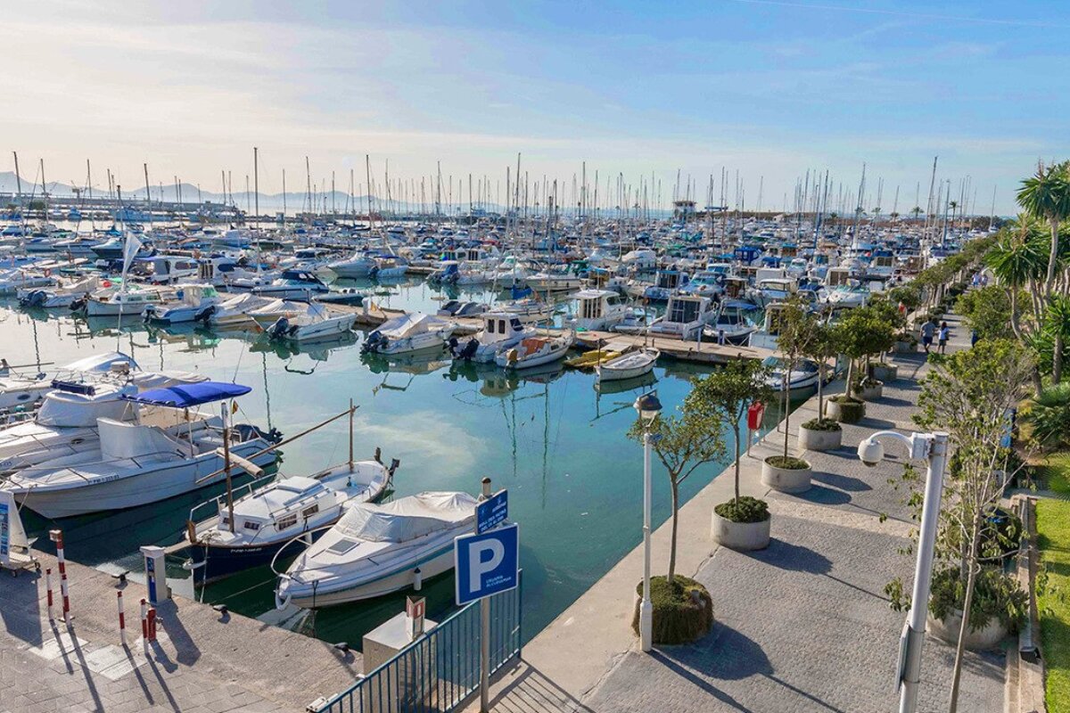 Port de Alcudiamar Marina, Port d'Alcudia