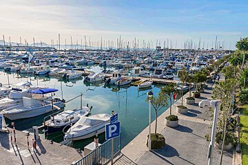 Port de Alcudiamar Marina, Port d'Alcudia