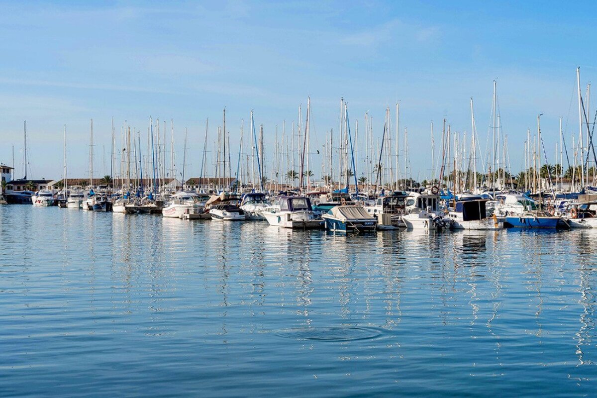 boats in a marina at Port d'Alcudia